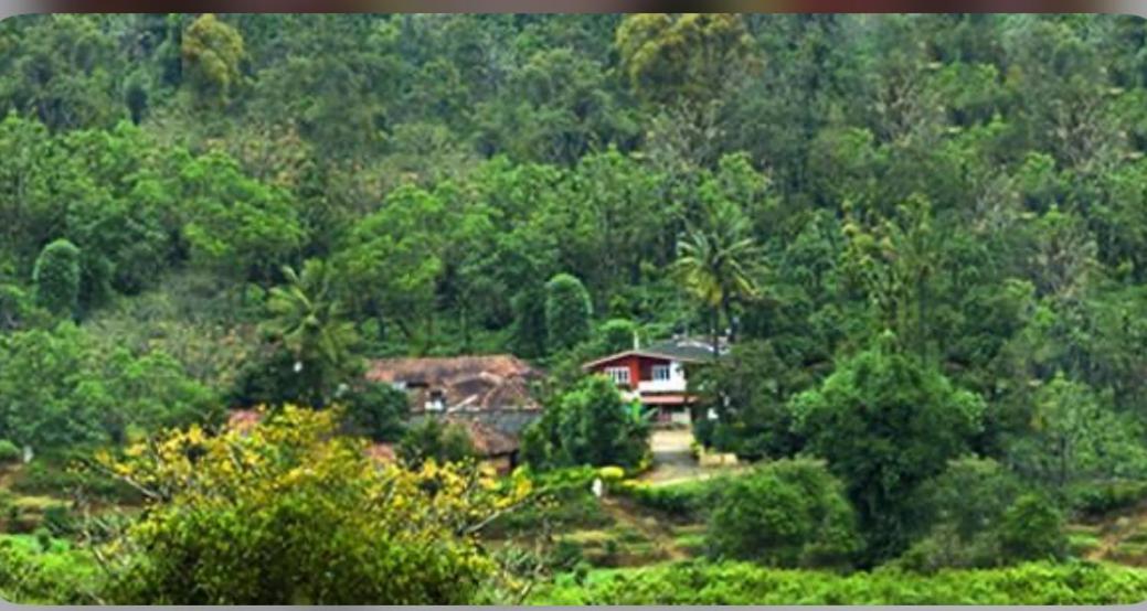 Coorg Naladi Holidays Kakkabe Екстер'єр фото